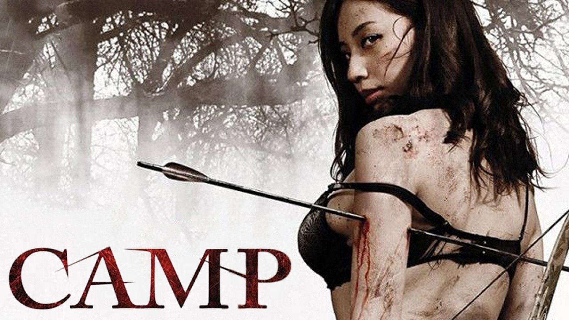 Camp (2014)