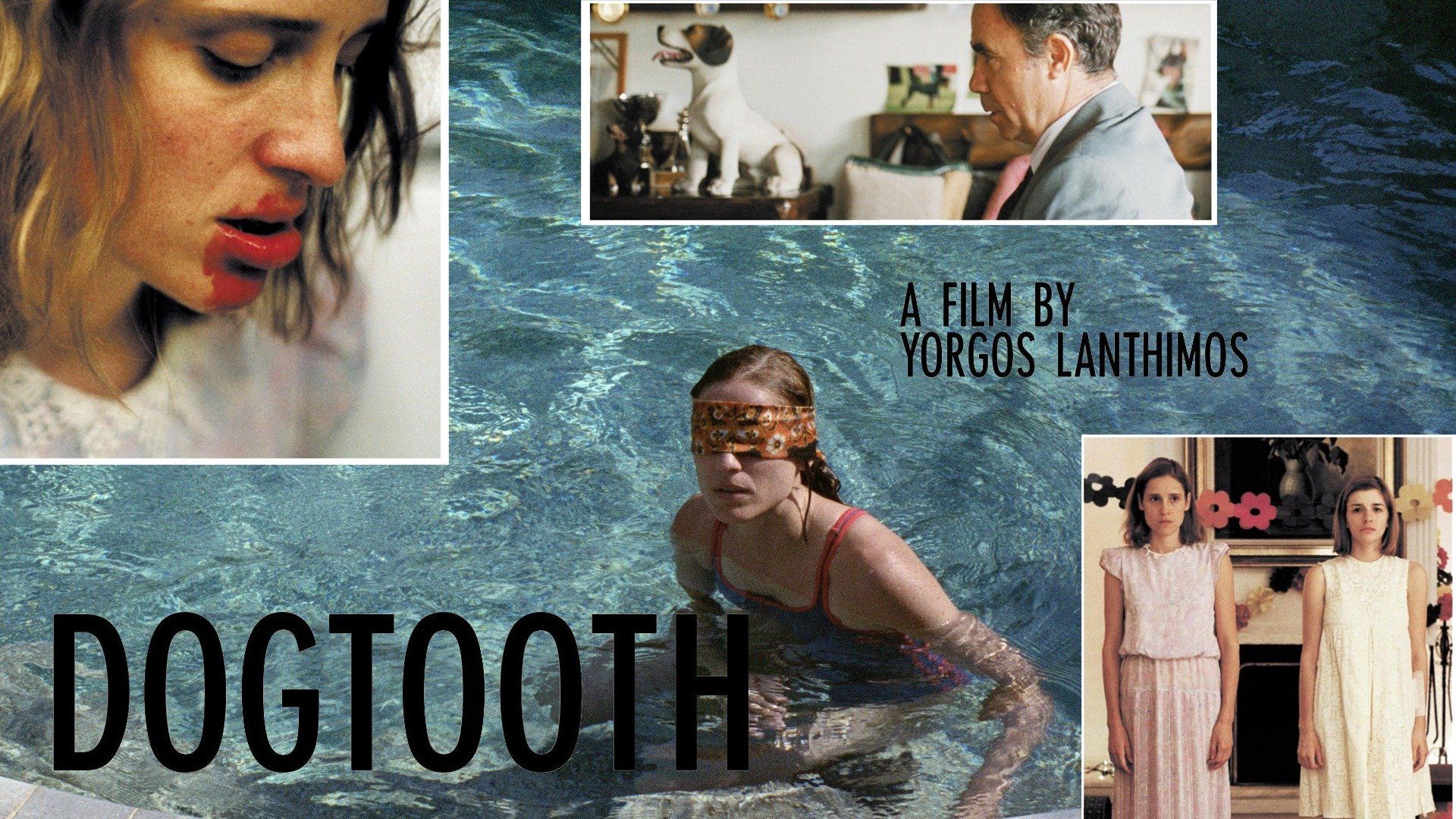 where can i watch dogtooth