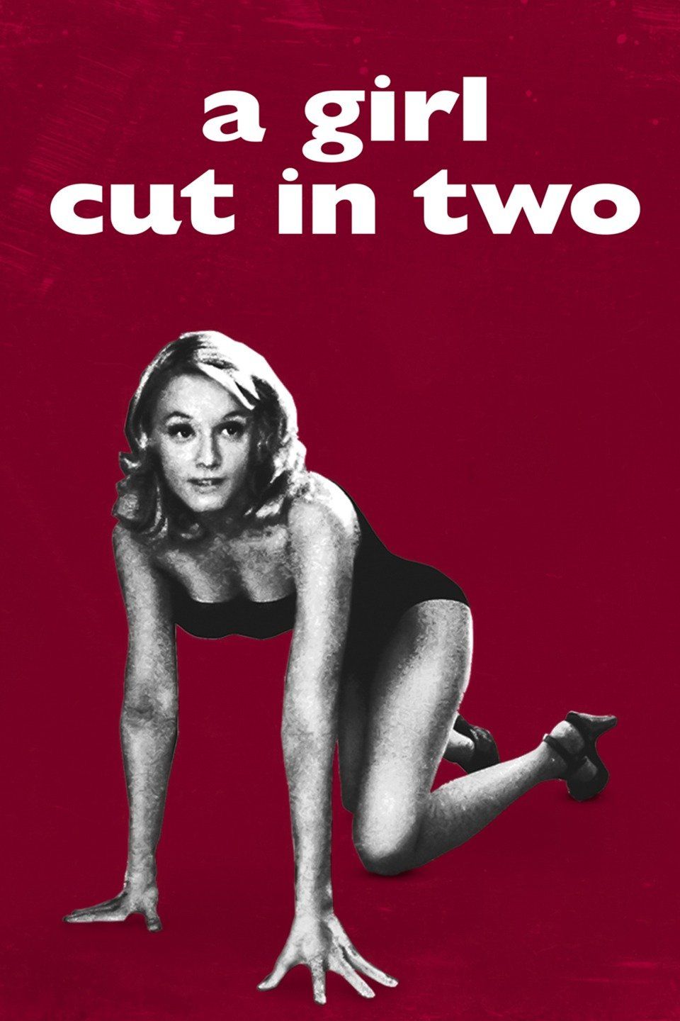 Watch A Girl Cut in Two (2007) Full Movie Online - Plex