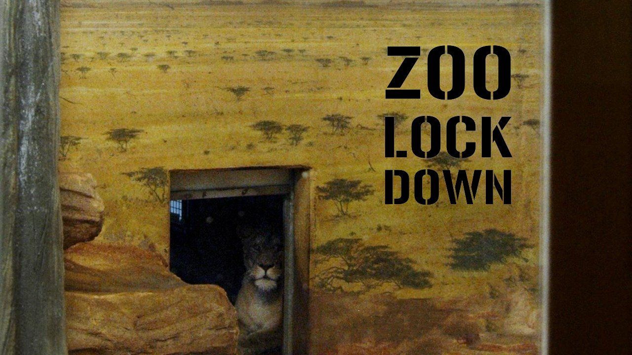Zoo Lock Down (2022)