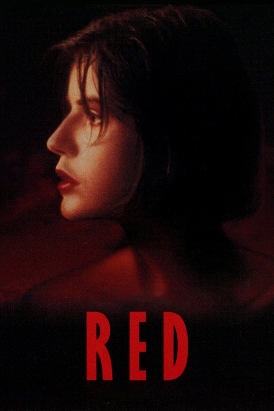 Watch Three Colors: Red (1994) Full Movie Online - Plex