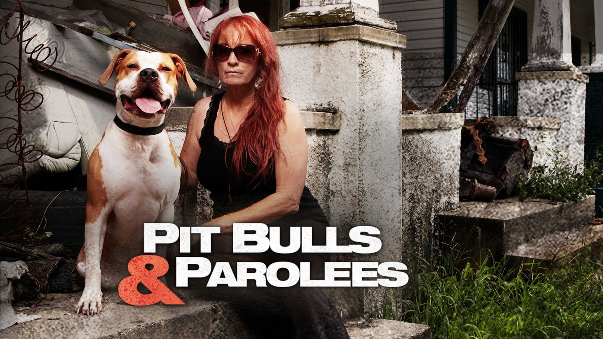 Watch Pit Bulls & Parolees Online, Season 5 (2013)