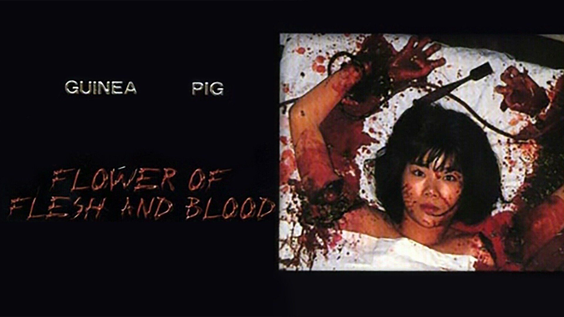 Guinea Pig 2: Flower of Flesh and Blood Guinea Pig Part 2: Flower of Flesh and Blood (1985) - Plex