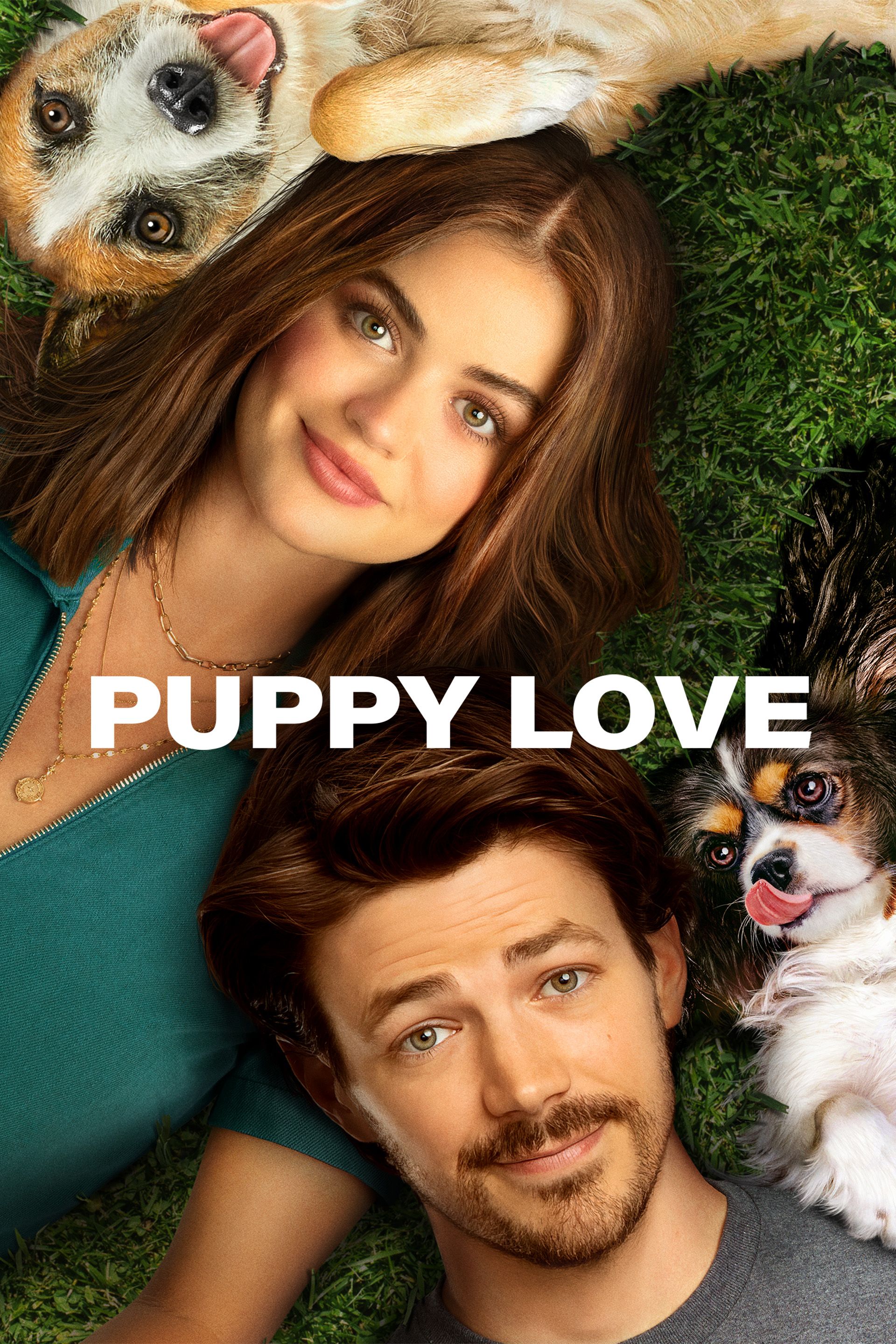 Watch Puppy Love (2023) Full Movie Free Online - Plex