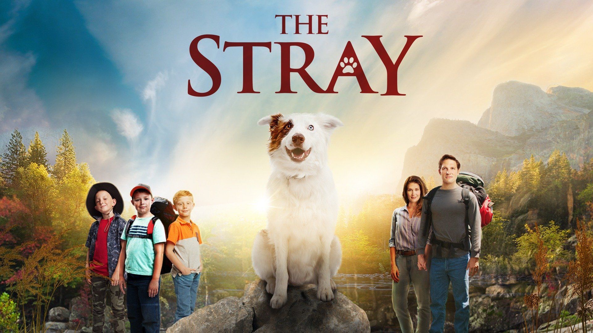 Watch The Stray (2017) Full Movie Online - Plex
