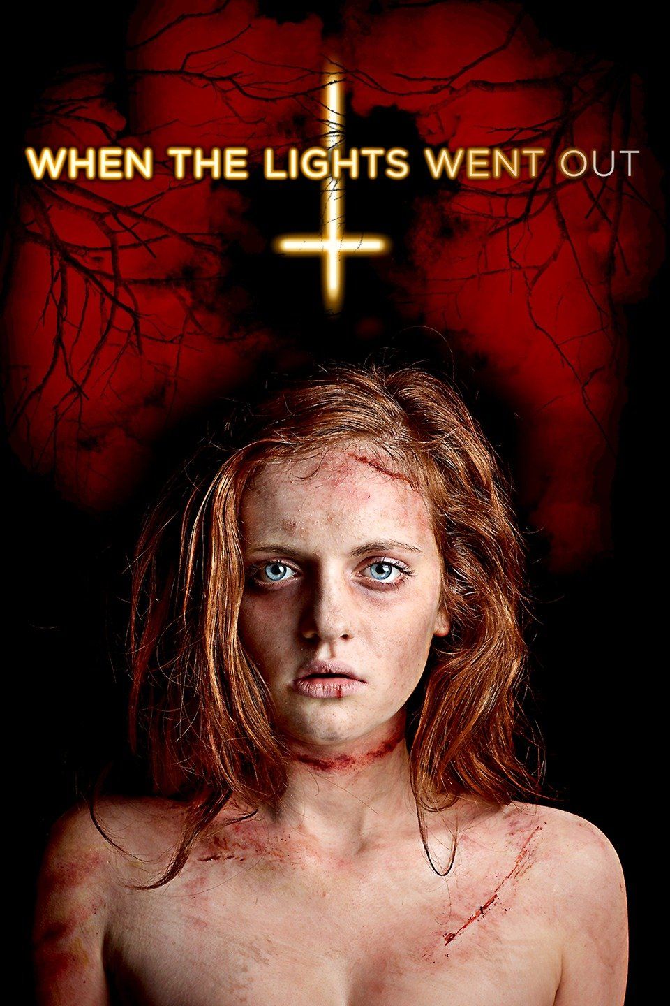 When the Lights Went Out (2012) - Plex