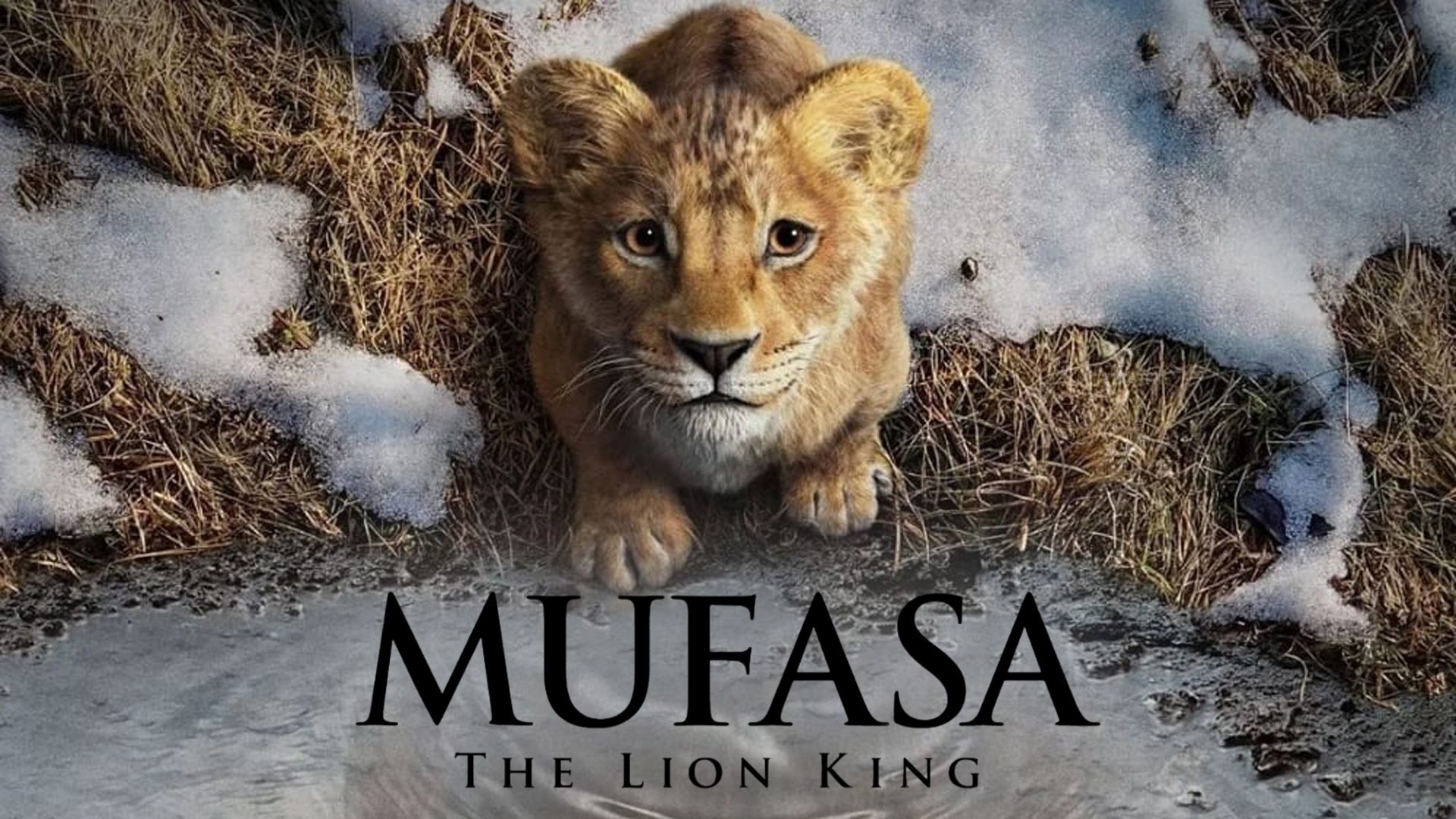 Mufasa The Lion King (2024) Release Date is December 17 See the Cast