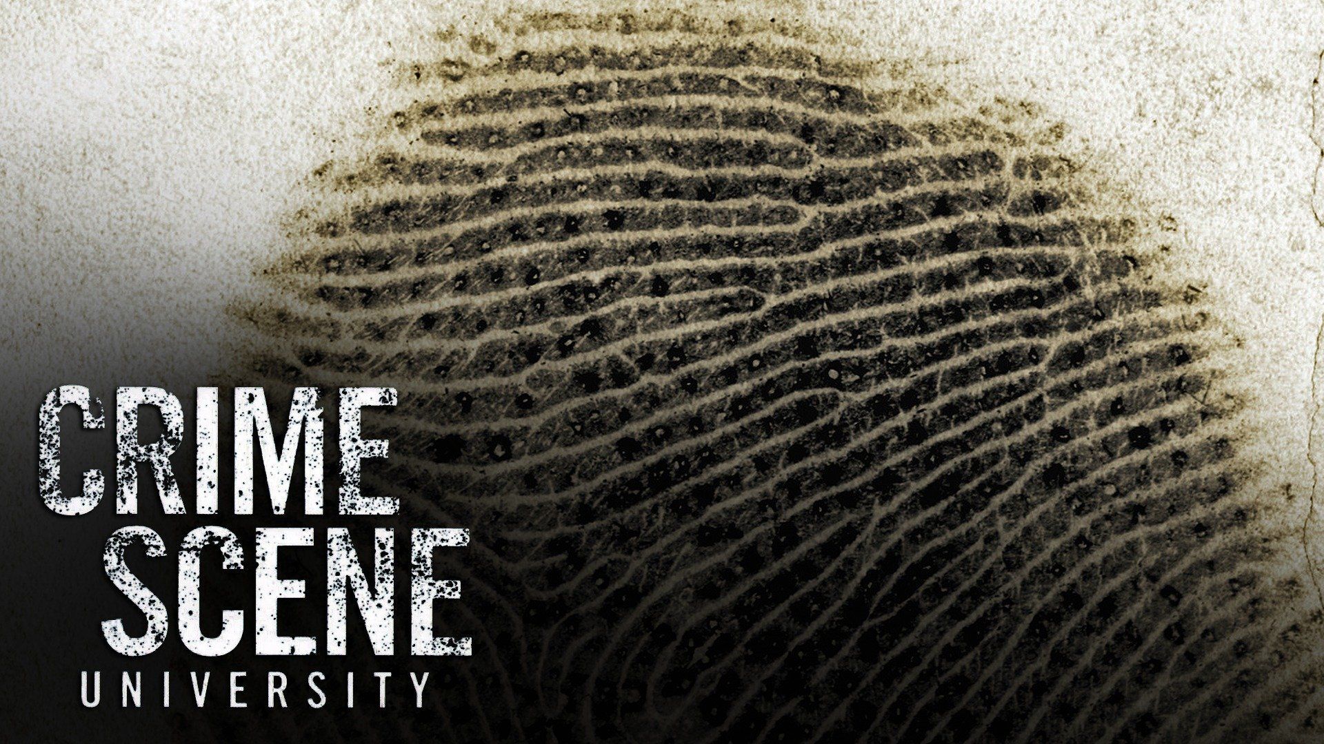 Crime Scene University Season 1 • Episode 1 Drugs and Dirty Deals Plex
