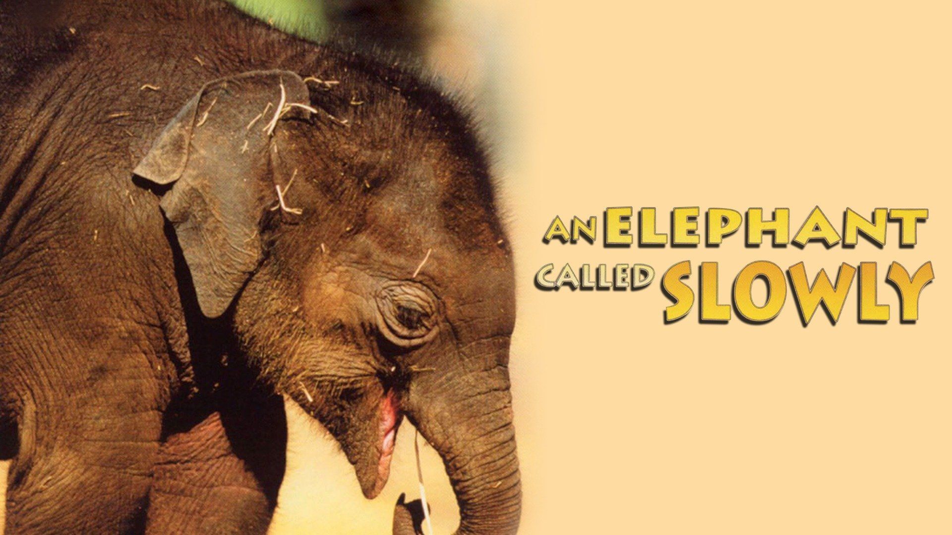 An Elephant Called Slowly (1970) - Plex