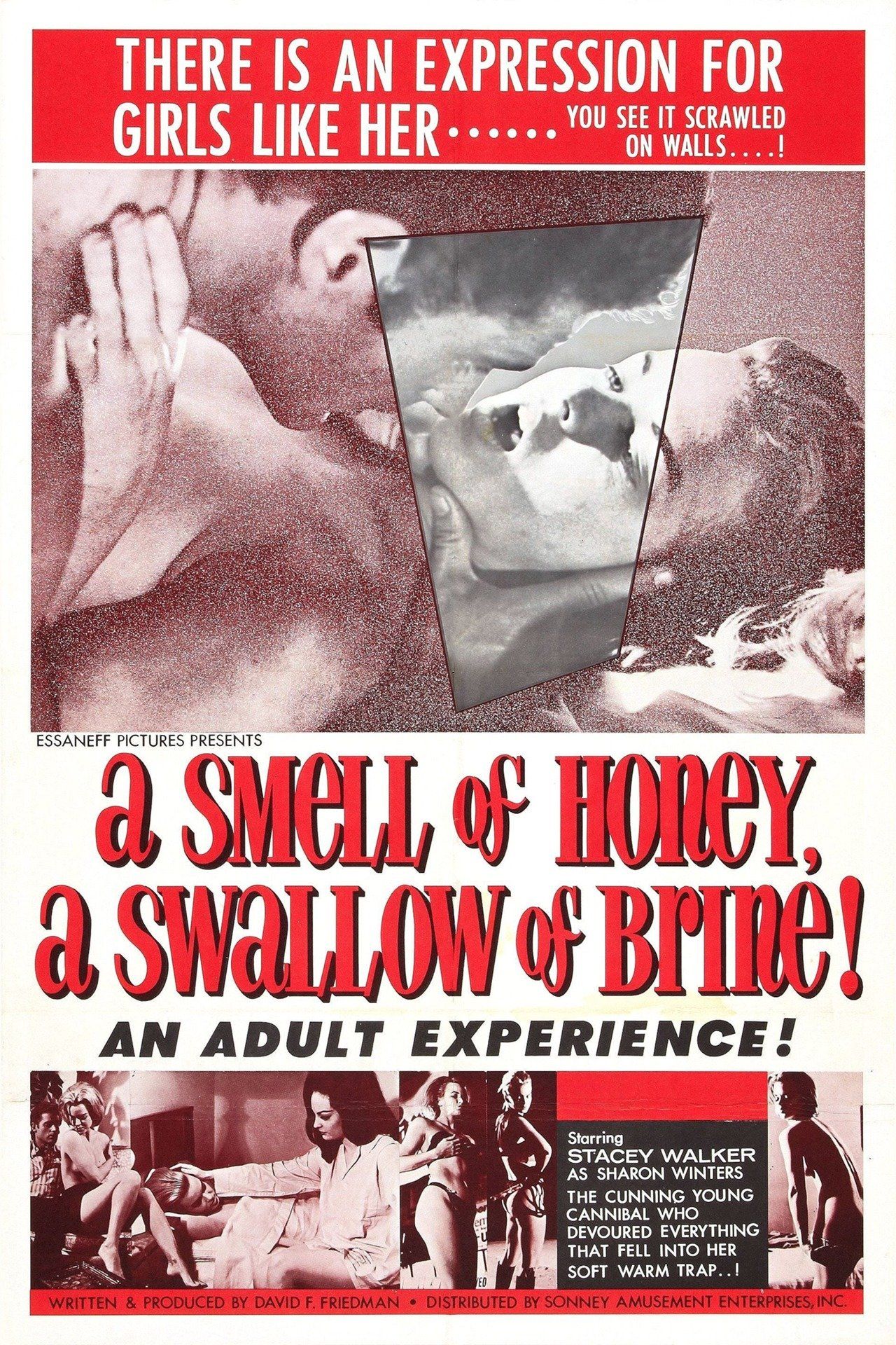 Watch A Smell of Honey, a Swallow of Brine (1966) Full Movie Online - Plex