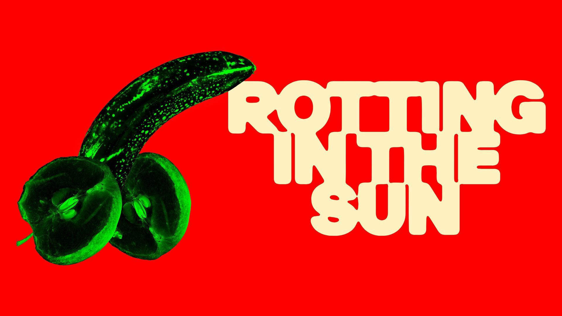 Watch Rotting in the Sun (2023) Full Movie Online - Plex