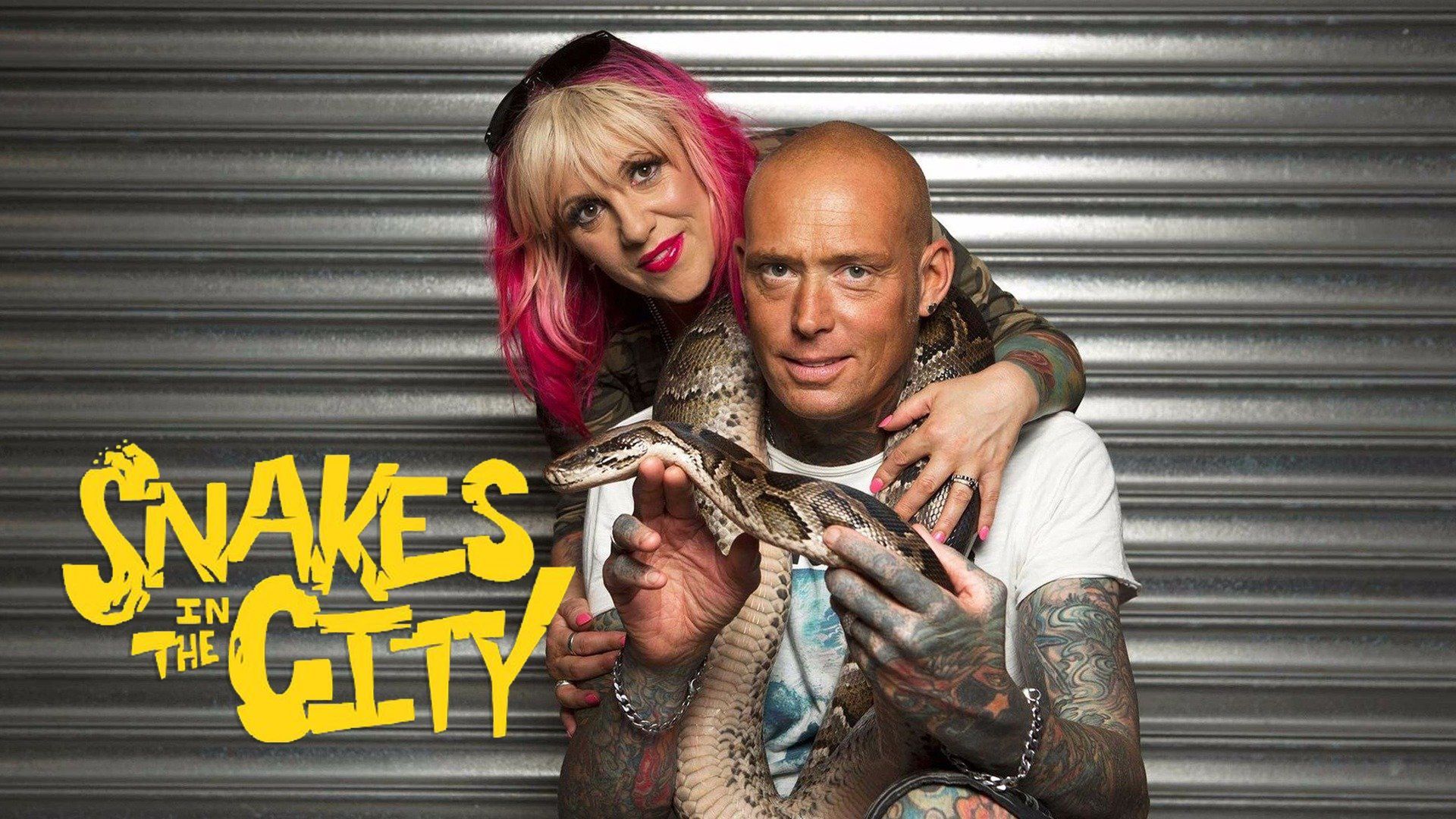 Snake City Â· Season 7 - Plex