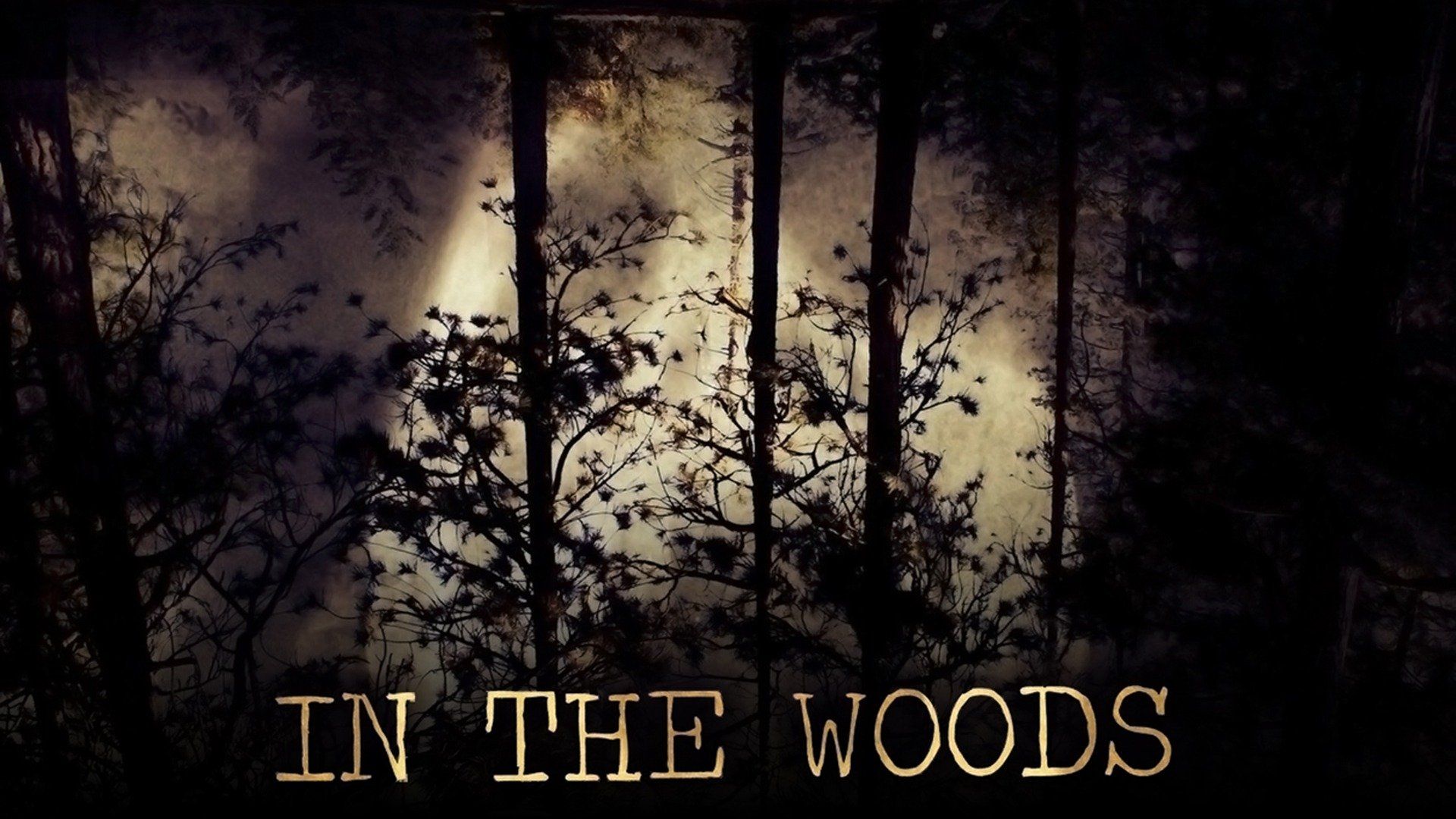 Watch In the Woods (2010) Full Movie Online - Plex