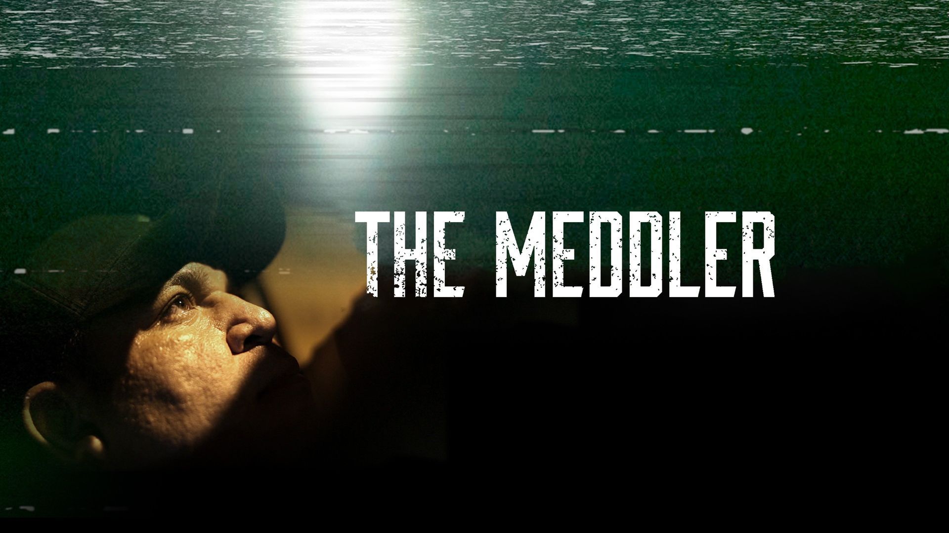 Watch The Meddler (2020) Full Movie Free Online - Plex