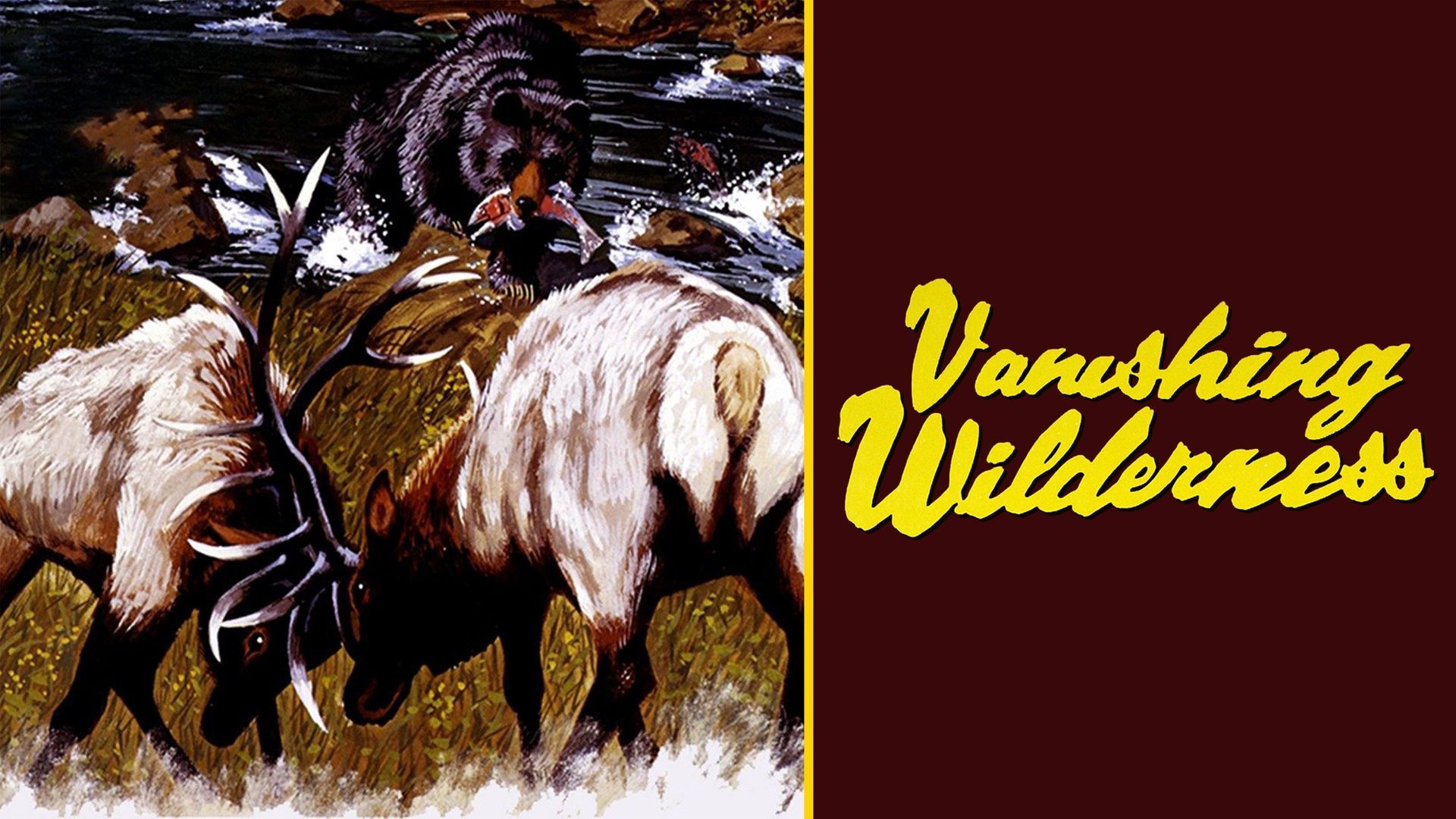 Watch Vanishing Wilderness (1974) Full Movie Online - Plex