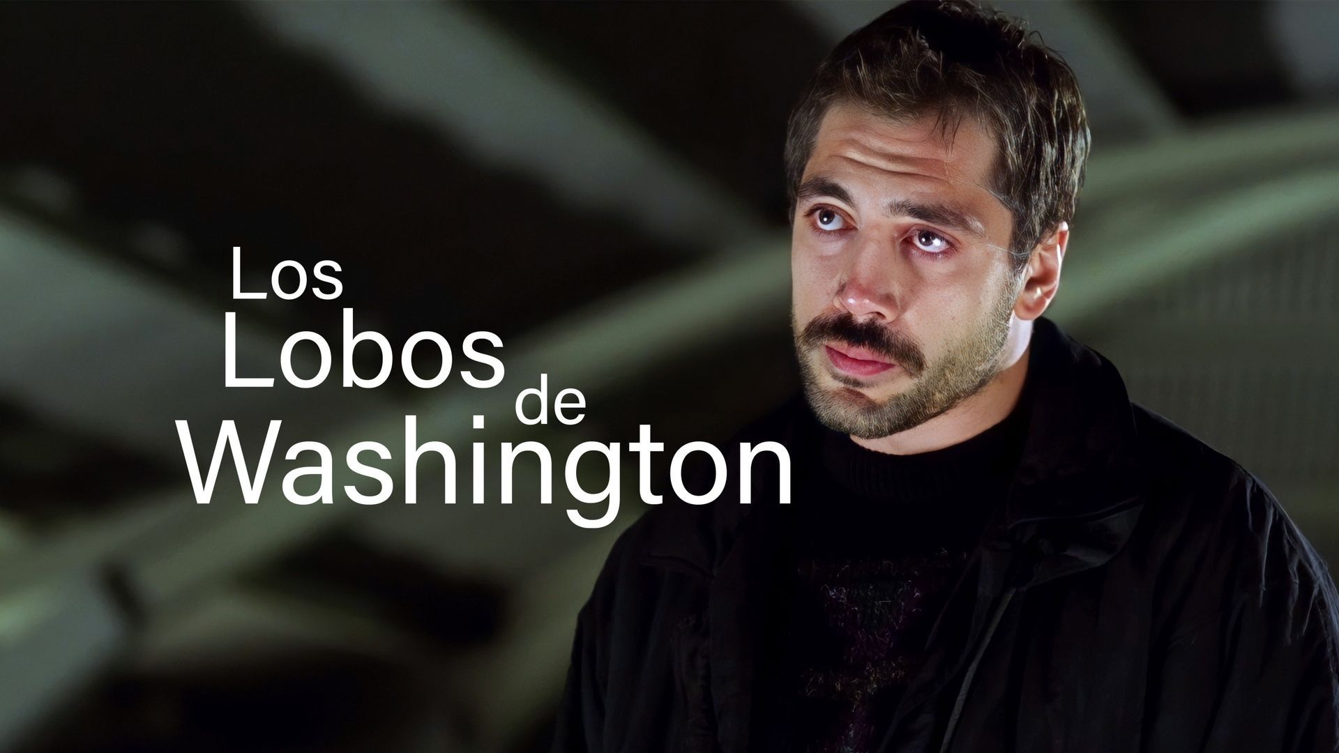 Los lobos de Washington (1999) - Plex