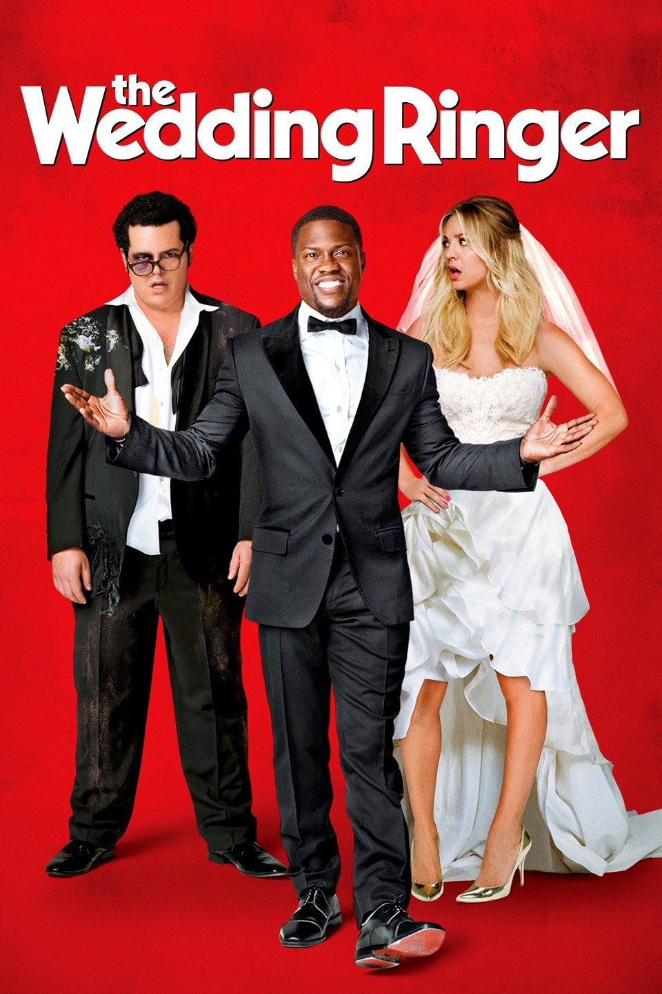 Watch The Wedding Ringer (2015) Full Movie Online - Plex