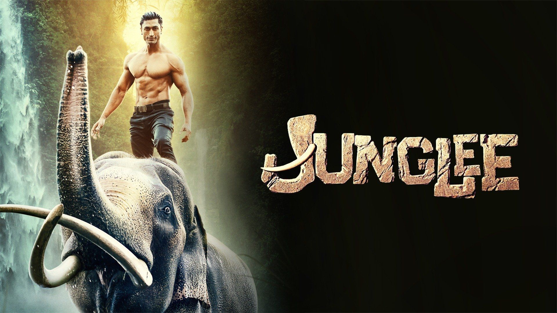 Junglee (2019) - Plex