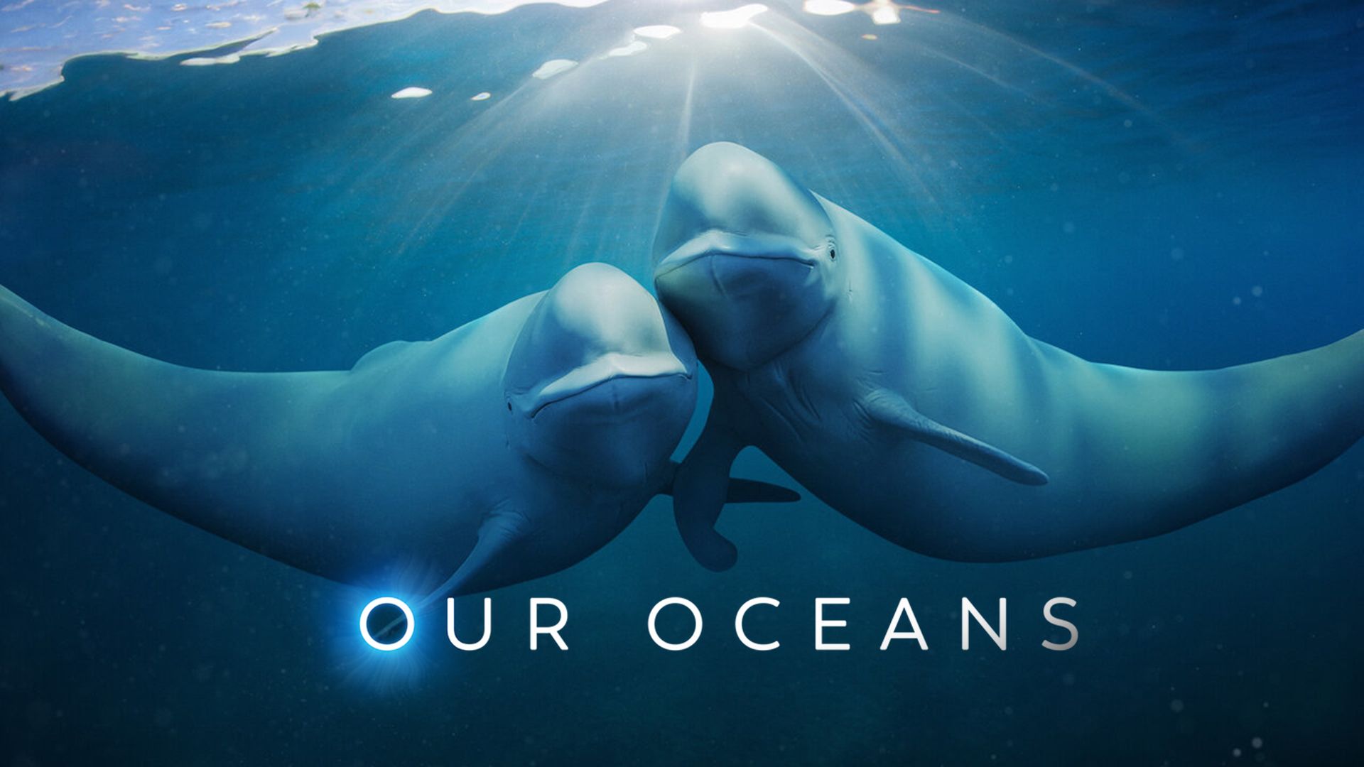 Our Oceans (2024) Release Date is Wednesday, November 20 - See the Cast ...