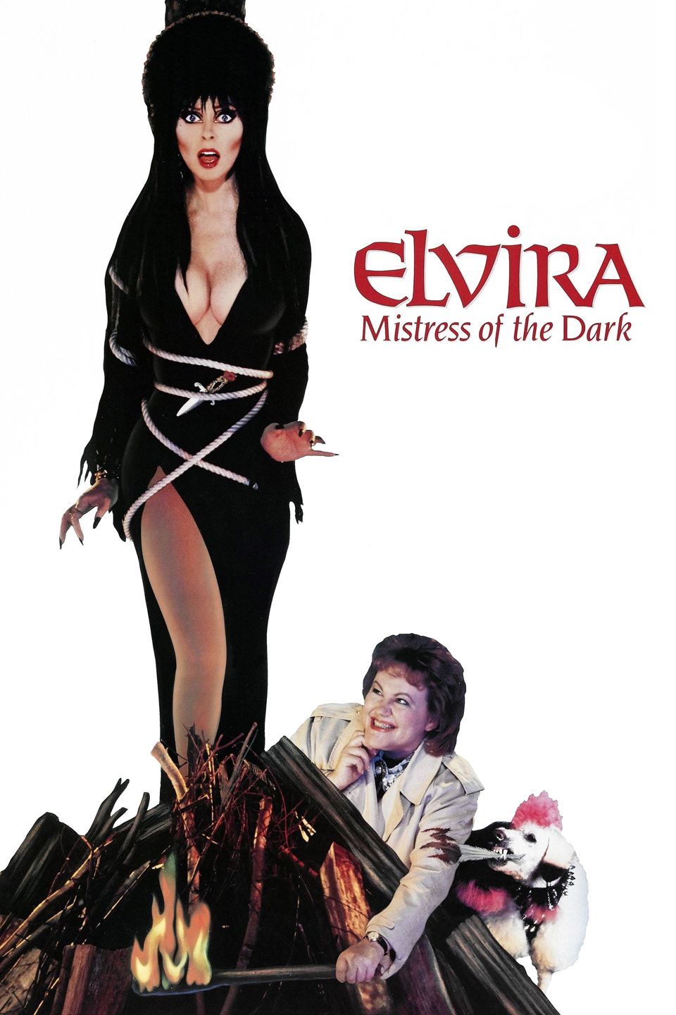 Watch Elvira: Mistress of the Dark (1988) Full Movie Free Online - Plex