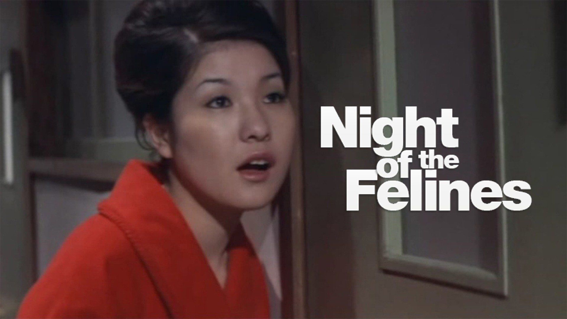 night of the felines watch online