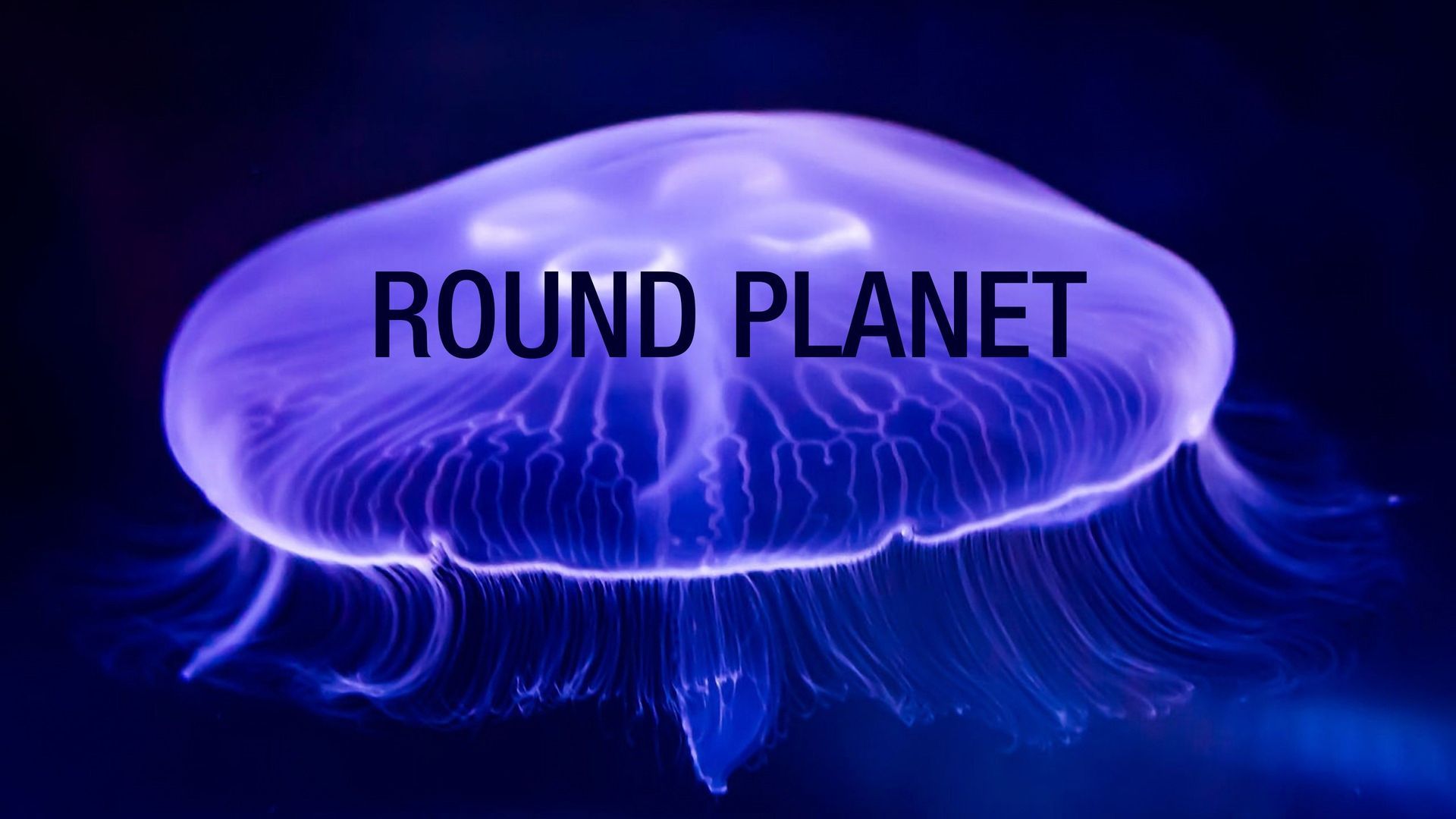 round-planet-season-1-plex