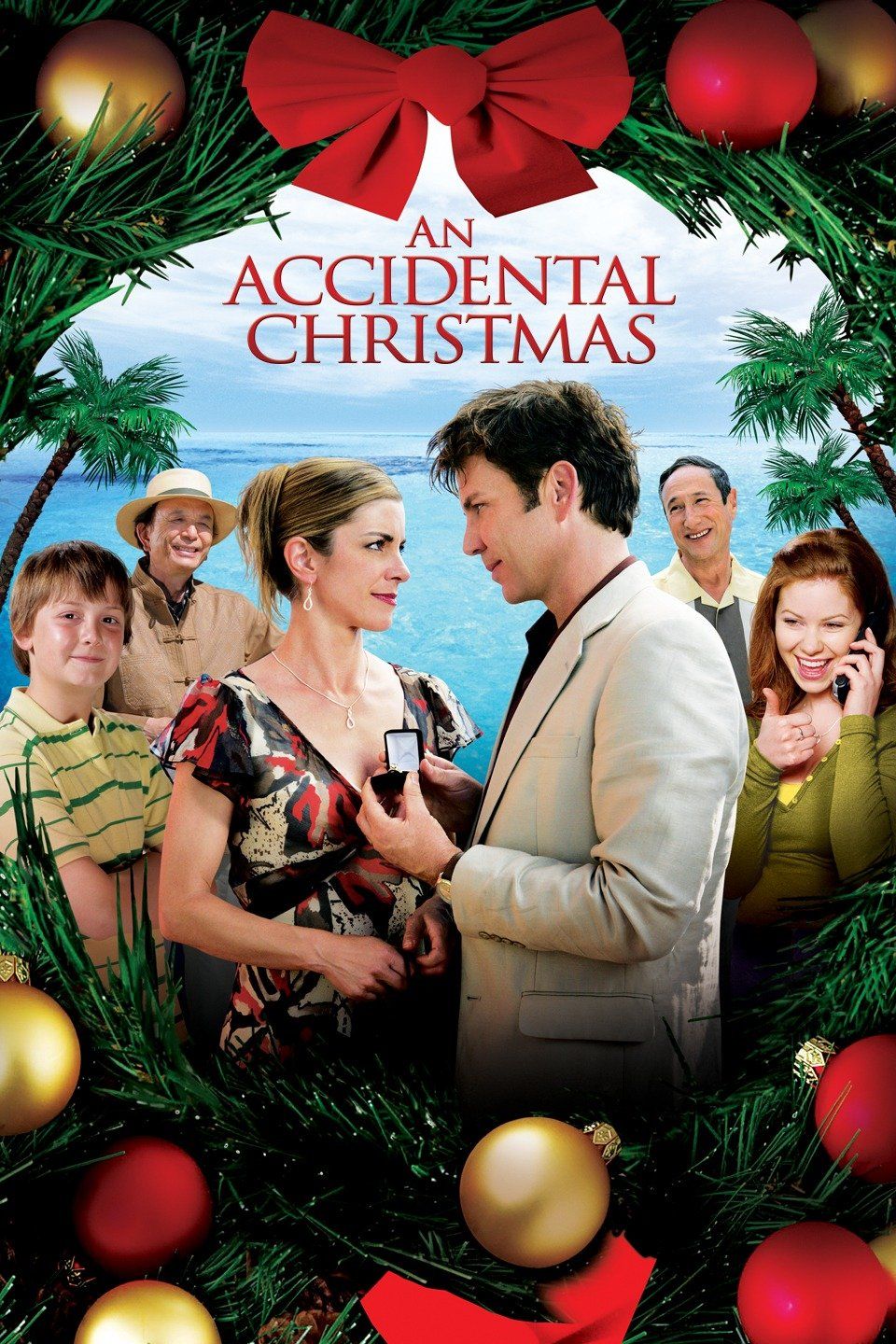 Watch An Accidental Christmas (2007) Full Movie Free Online - Plex