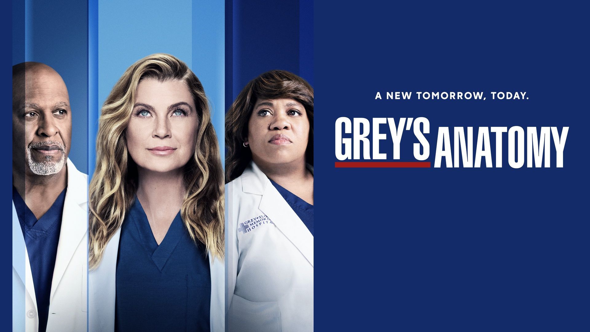 Watch Grey's Anatomy • Season 18 Full Episodes Online - Plex