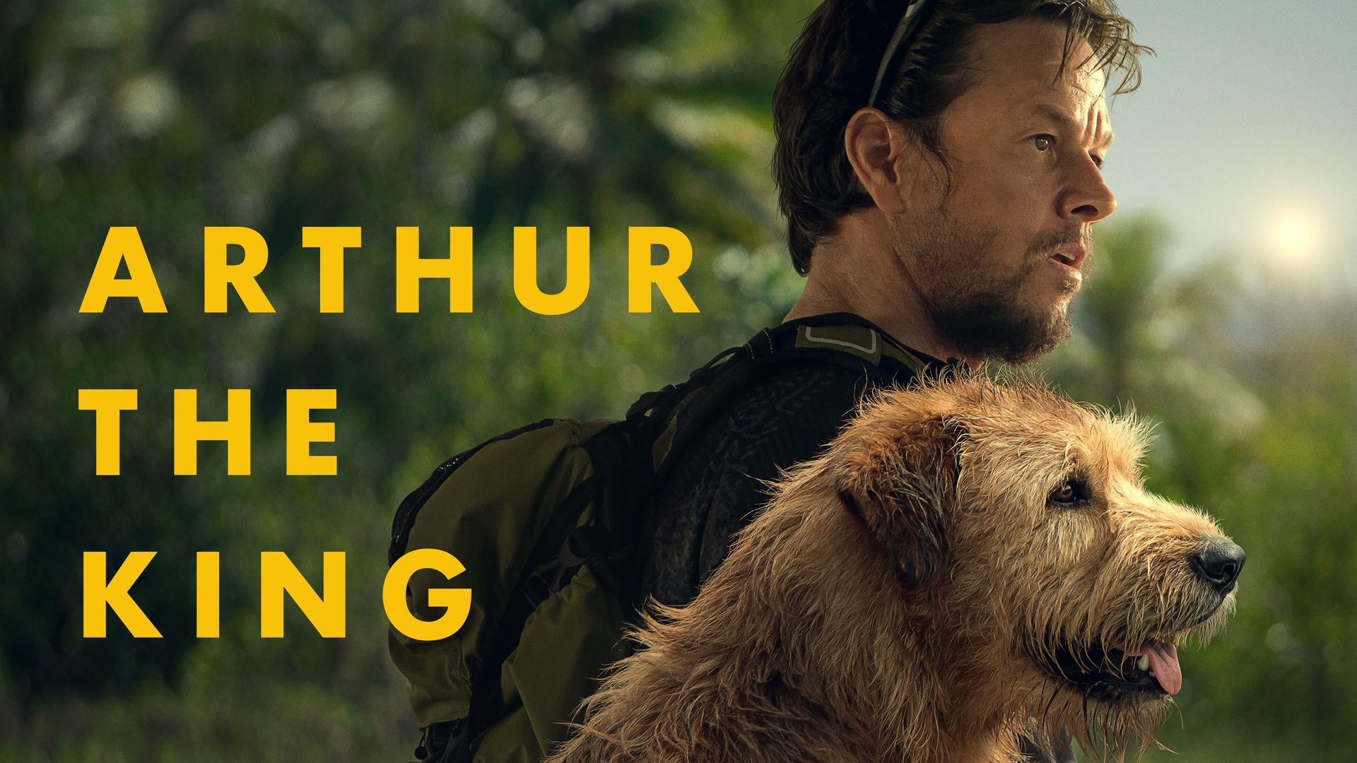 Watch Arthur the King (2024) Full Movie Online - Plex