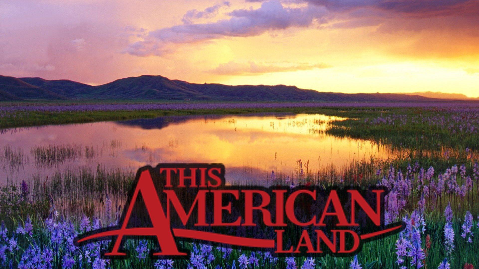 This American Land 2011 Plex